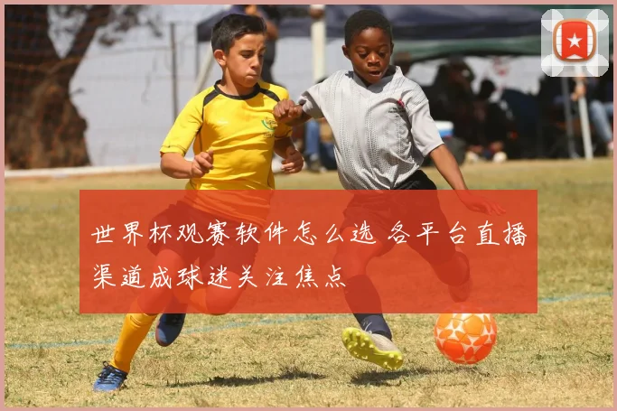 世界杯观赛软件怎么选 各平台直播渠道成球迷关注焦点