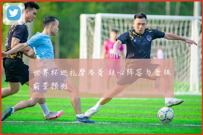 世界杯巡礼摩洛哥 核心阵容与晋级前景预测