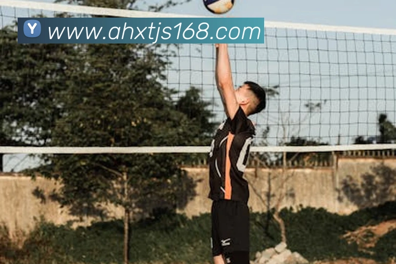 多媒体互动体验